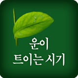 Ǯ